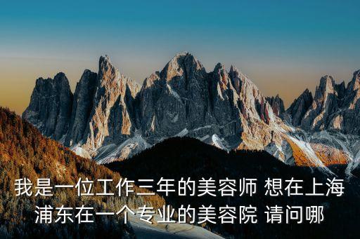 我是一位工作三年的美容師 想在上海浦東在一個專業(yè)的美容院 請問哪