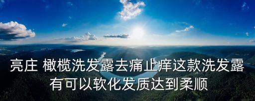 廣州亮P洗發水怎么樣，亮澤洗發露好嗎