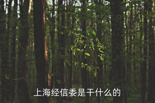 上海經信委是干什么的