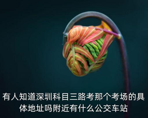 深圳駕考科目三大路考，請問深圳科目三路考在哪是西麗車管所嗎網上很多東西考場視頻