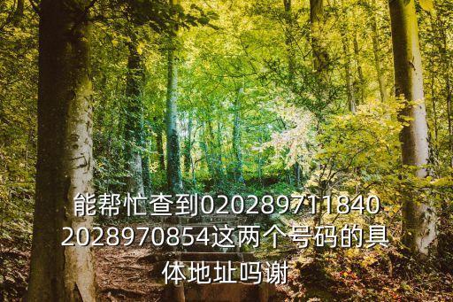 能幫忙查到0202897118402028970854這兩個號碼的具體地址嗎謝