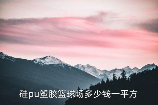 硅pu塑膠籃球場(chǎng)多少錢(qián)一平方