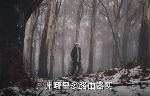 廣州哪里多路由器買