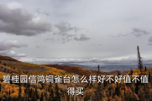 東莞朗強(qiáng)，也聽說美豆網(wǎng)不錯(cuò)的不知道有哪位朋友比較了解的呢幫幫忙啦謝