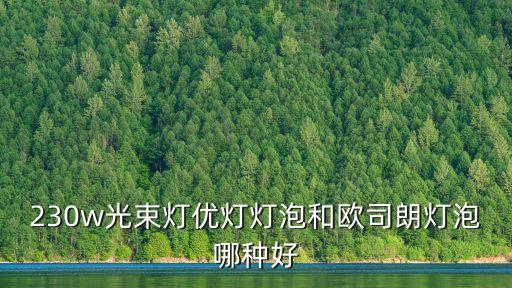 230w光束燈優燈燈泡和歐司朗燈泡哪種好
