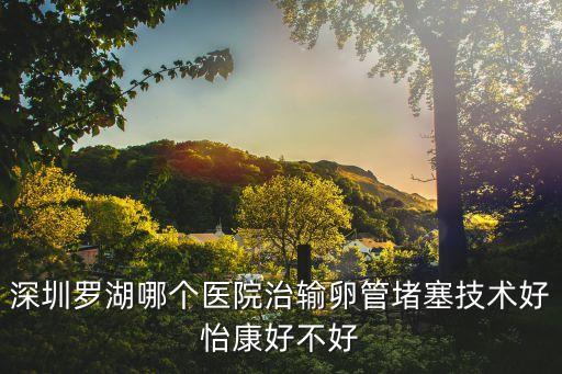 深圳羅湖哪個醫(yī)院治輸卵管堵塞技術(shù)好怡康好不好
