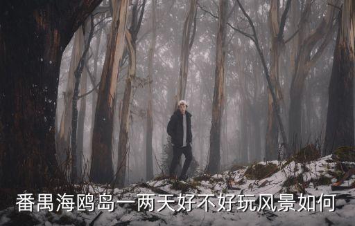 廣州海鷗島晚上開放嗎，番禺海鷗島一兩天好不好玩風景如何