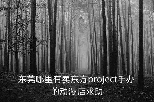 東莞有沒有動漫專賣店，東莞哪里有賣東方project手辦的動漫店求助