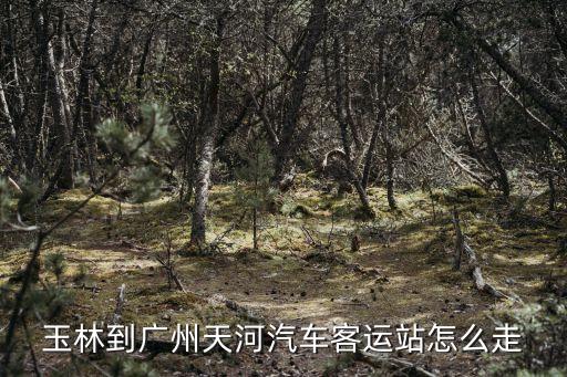 玉林總站到廣州天河，廣西玉林到廣州天河的火車有沒有