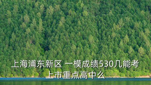 2020上海市高三一模語文浦東，上海浦東高三一模文科450分能進什么學校