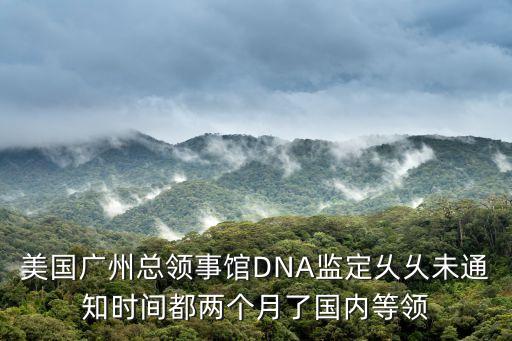 美國廣州總領事館DNA監(jiān)定乆乆未通知時間都兩個月了國內等領