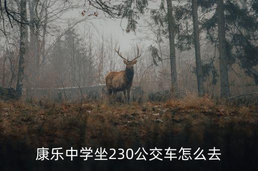 康樂中學坐230公交車怎么去