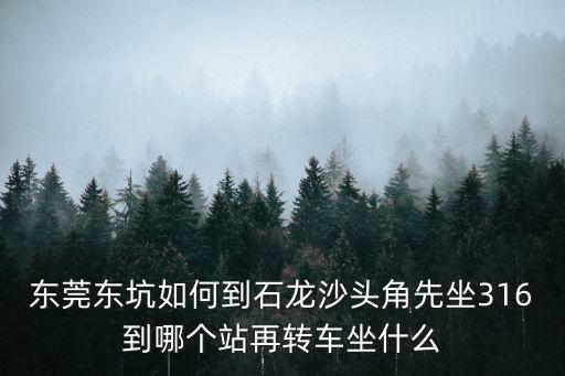 東莞到石龍沙頭角怎么坐車，在東莞東坑坐什么車可以到石龍沙頭角