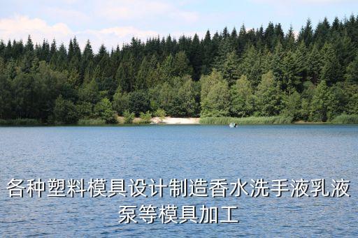 各種塑料模具設計制造香水洗手液乳液泵等模具加工