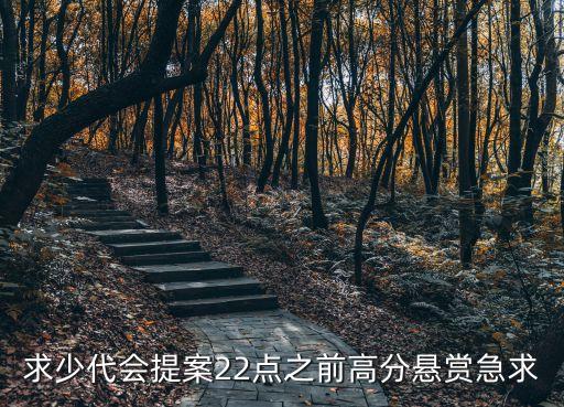 求少代會提案22點之前高分懸賞急求