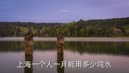 上海一個人一月能用多少噸水