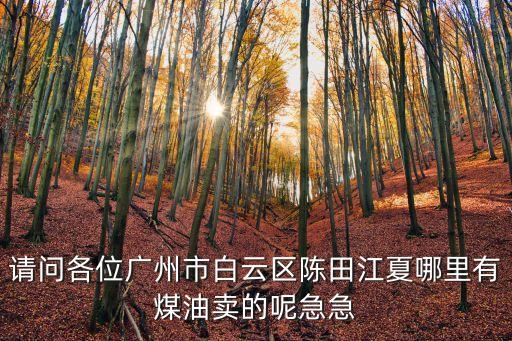 廣州哪里賣煤油，廣州那里有煤油賣