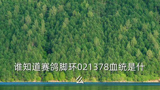 誰知道賽鴿腳環(huán)021378血統(tǒng)是什么