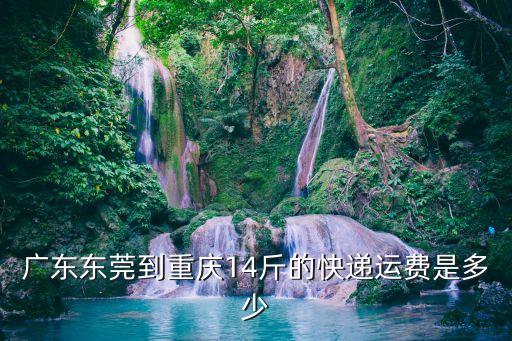 廣東東莞到重慶14斤的快遞運費是多少