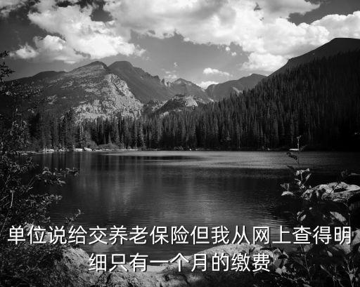 單位說給交養老保險但我從網上查得明細只有一個月的繳費