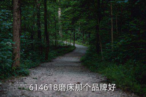 東莞東坑618精密磨床定制，東莞哪里有一家集研發制造銷售于一體專業生產無紡布深加工設