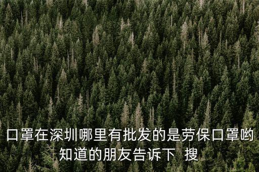 口罩在深圳哪里有批發的是勞保口罩喲知道的朋友告訴下  搜
