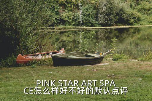PINK STAR ART SPACE怎么樣好不好的默認點評
