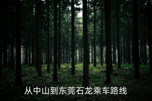 中山到東莞石龍車站有直達嗎，從中山到東莞石龍怎么坐車