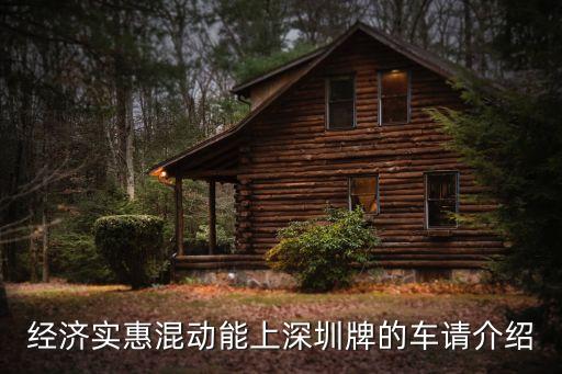 經(jīng)濟(jì)實(shí)惠混動(dòng)能上深圳牌的車請(qǐng)介紹