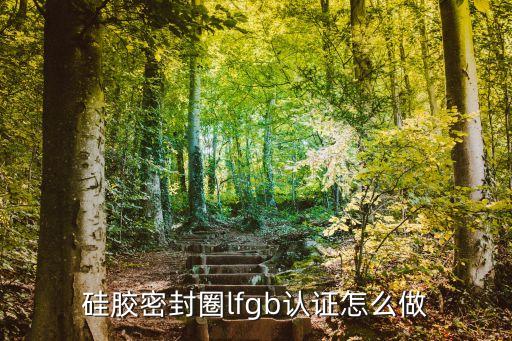 東莞硅膠閥門過lfgb認證，硅膠密封圈lfgb認證怎么做