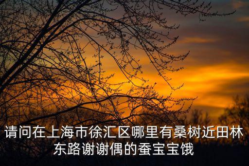 請問在上海市徐匯區(qū)哪里有桑樹近田林東路謝謝偶的蠶寶寶餓