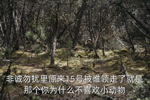 非誠勿擾里原來15號被誰領走了就是那個你為什么不喜歡小動物