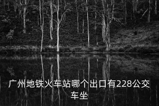 廣州地鐵火車站哪個出口有228公交車坐