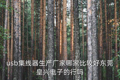 usb集線器生產(chǎn)廠家哪家比較好東莞皇興電子的行嗎