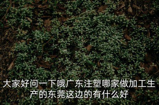 大家好問一下哦廣東注塑哪家做加工生產(chǎn)的東莞這邊的有什么好