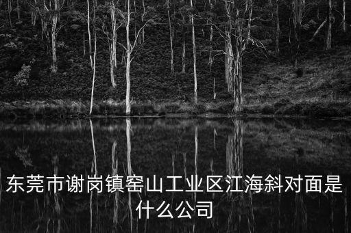 東莞豐裕實業，東莞豐裕電機有限公司待遇福利怎樣