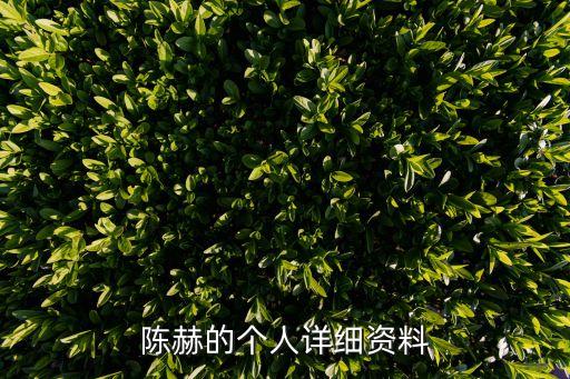 上海市靜安團區委吳佳簡歷，上海吳太是誰啊 她是做什么的 有她的資料嗎