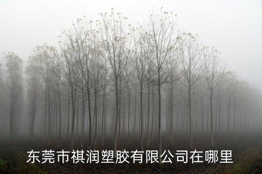 東莞市祺潤塑膠有限公司在哪里