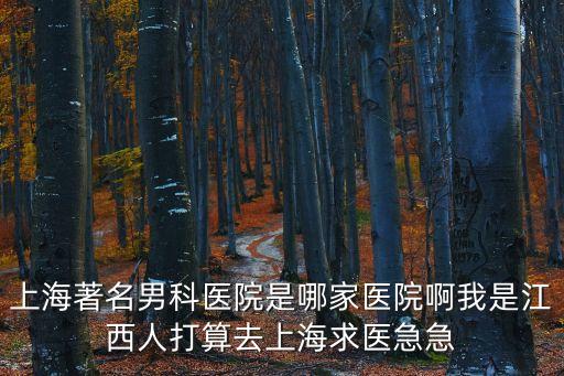 上海著名男科醫院是哪家醫院啊我是江西人打算去上海求醫急急