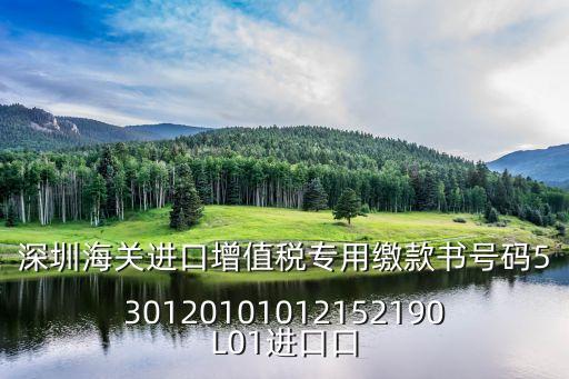 深圳海關(guān)進(jìn)口增值稅專用繳款書號碼530120101012152190L01進(jìn)口口