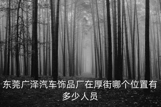 東莞廣協(xié)電子公司，廣東省東莞市石龍鎮(zhèn)三協(xié)電子廠怎么樣