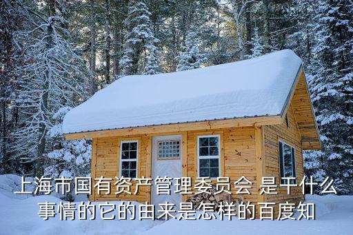上海市國有資產(chǎn)管理委員會 是干什么事情的它的由來是怎樣的百度知