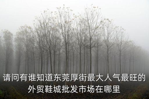 東莞最大的鞋廠批發(fā)市場，東莞市最大的鞋廠在哪里
