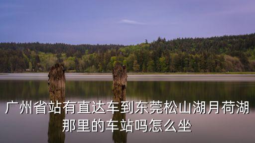 廣州省站有直達車到東莞松山湖月荷湖那里的車站嗎怎么坐