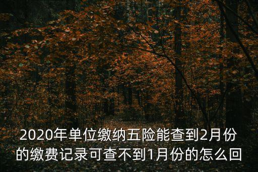 深圳社保為什么只能查到一月份，2020年單位繳納五險能查到2月份的繳費記錄可查不到1月份的怎么回