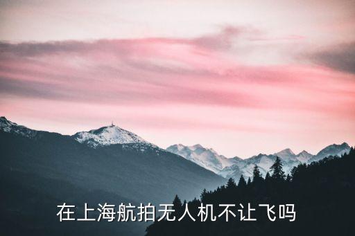 在上海航拍無人機不讓飛嗎