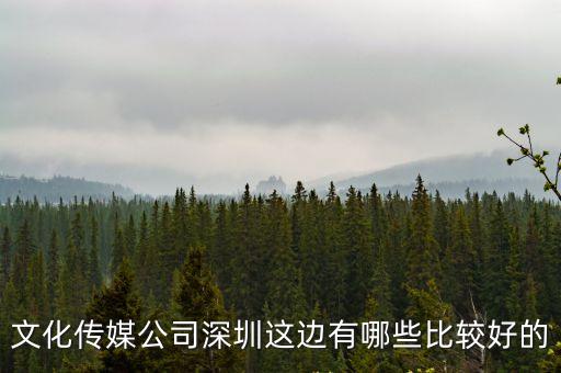 文化傳媒公司深圳這邊有哪些比較好的
