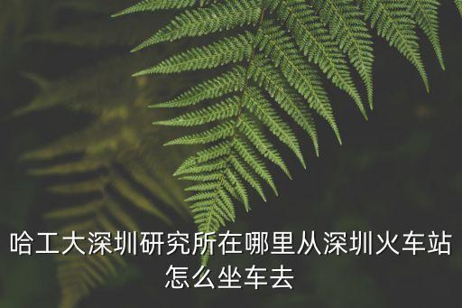 哈工大深圳計算機研究中心，哈工大深圳研究院計算機研究生畢業就業狀況