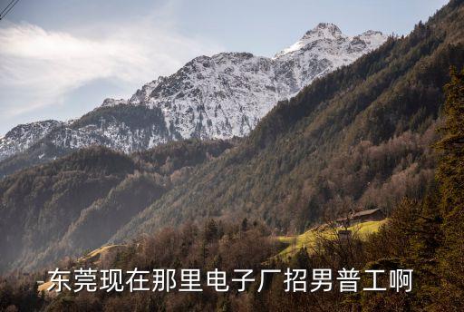 東莞海能電子招普工嗎，東莞有哪個電子廠在招普工