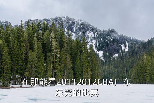 在那能看20112012CBA廣東東莞的比賽